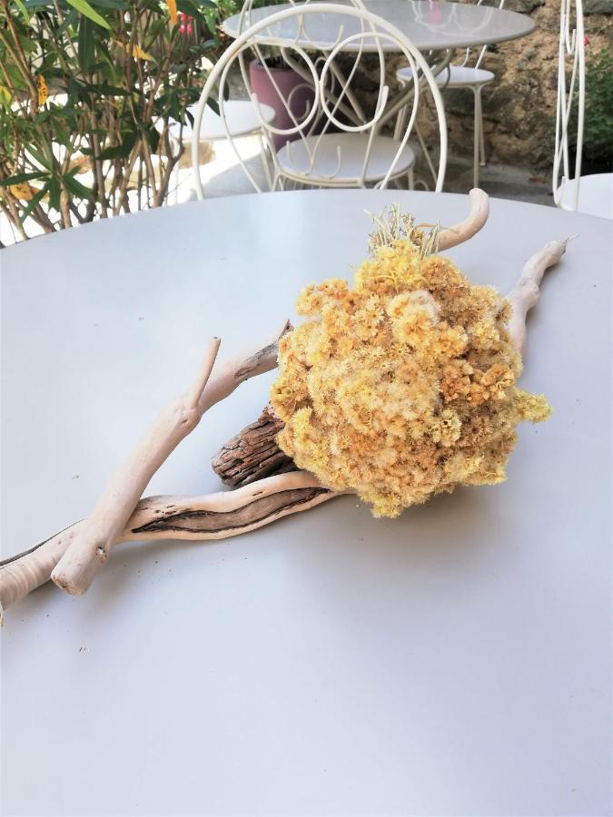 Parfumu Di Celu Hotel Santa-Lucia-di-Mercurio Eksteriør billede