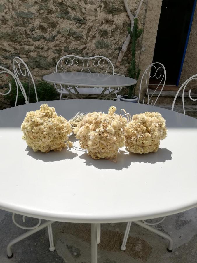 Parfumu Di Celu Hotel Santa-Lucia-di-Mercurio Eksteriør billede