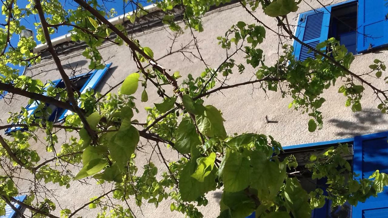 Parfumu Di Celu Hotel Santa-Lucia-di-Mercurio Eksteriør billede